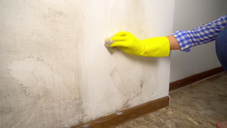 Dehumidification Services in Humansville, MO